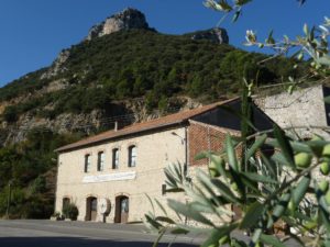 Ecomuseum of the Olive tree- Volx, Provence.1